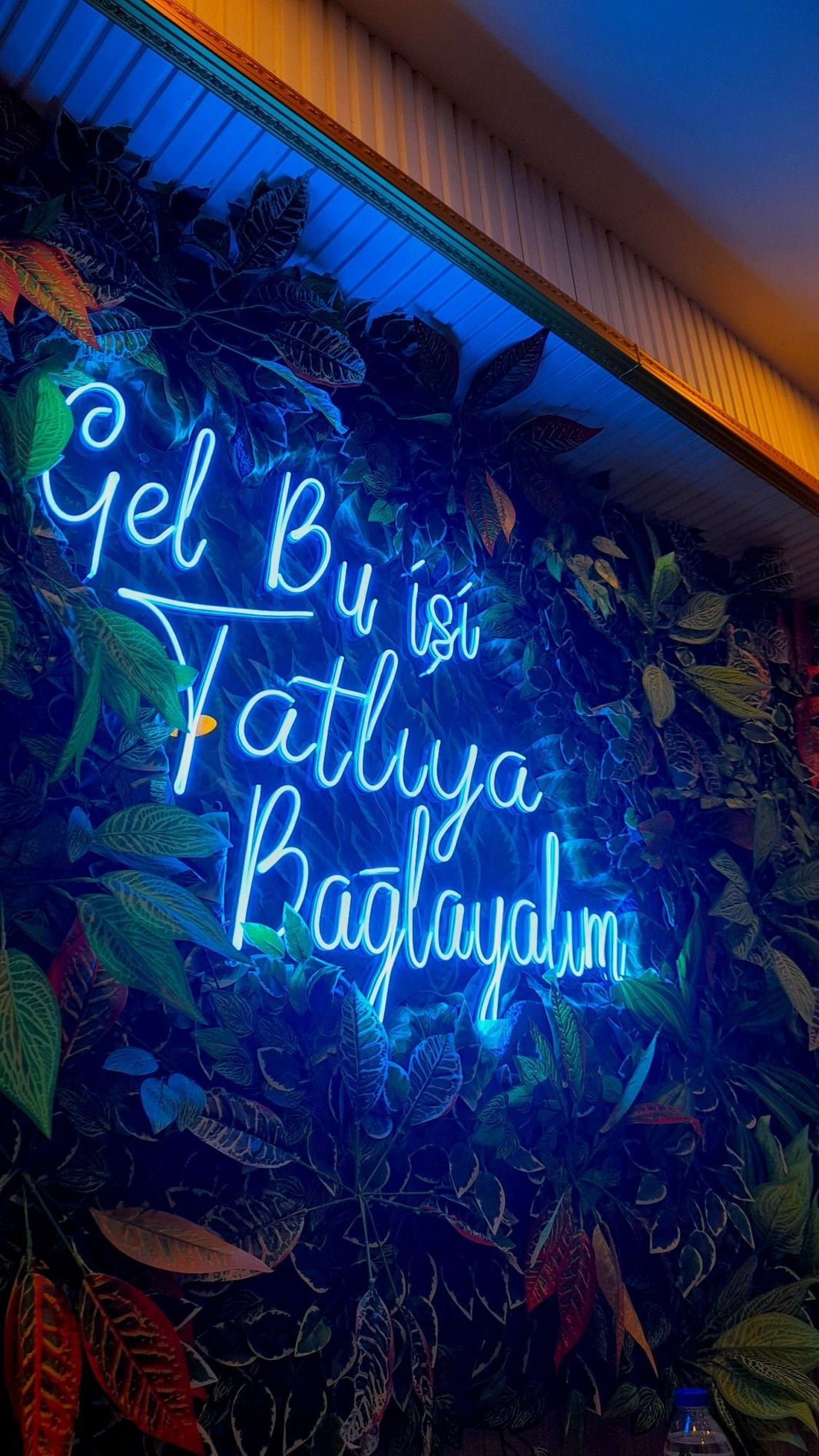 Gel Bu İşi Tatlıya Bağlayalım Neon Yazılı LED Aydınlatma